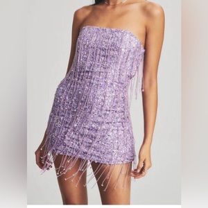 Retrofete sequin heather sparkly purple dress eras tour speak now dress fringe